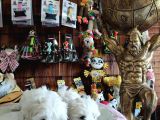 Bembeyaz Maltese Terri̇er 0 Numara