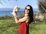 Maltese Yavrularım Sağlık Ve Irk Garantilidir