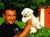 Safkan Maltese Terrier Yavruları Burkem Den