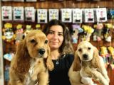 Yakişikli Ameri̇kan Cocker Bebekler