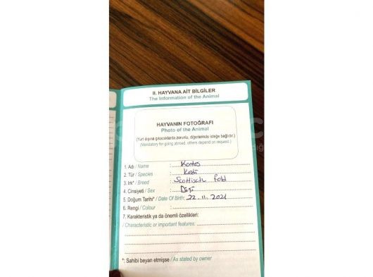 Kızımızı Özel Sebeplerden Dolayı Sahiplendireceğiz görsel