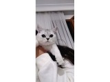 Tatlı Prenses Kızımız