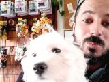 BEMBEYAZ 6 AYLIK MALTESE TERRİER 0 NUMARA