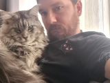 Maine Coon Xl Full Secereli