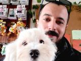Bembeyaz Maltese Terri̇er 0 Numara