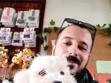 Bembeyaz Maltese Terri̇er 0 Numara