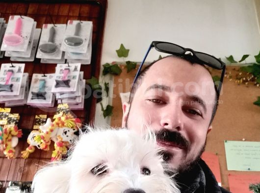 Bembeyaz Maltese Terri̇er 0 Numara görsel