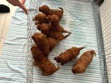 Irk Ve Sağlık Garantili Aşılı Pet Eğitimli Toy Poodle