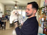 Bembeyaz Maltese Terri̇er 0 Numara
