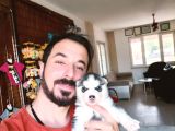 Kari̇zmati̇k Yakışıklı Husky Yavrularimiz