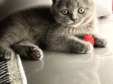 Pufuduk yavrularımız