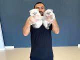 Top Kafa Scottish Fold Yavrularimiz Fenomen Pets Ankara