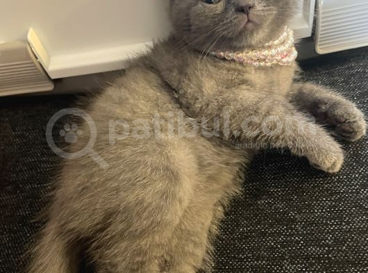 Pamuk Prenses Biz Ona Pembe Diyoruz görsel