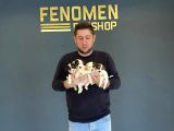 Show Kali̇te Juck Russull Yavrulari Di̇şi̇ Erkek Ankara