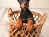Estetikli Üst Kalite Uyguna Doberman Lar