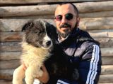 DUNYANİN EN ZEKİ IRKI BORDER COLLIE