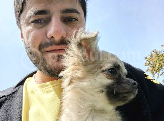 Çok Tatlı Değil Mi görsel