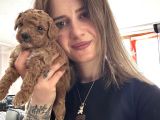 Toy Poodle Yavrular