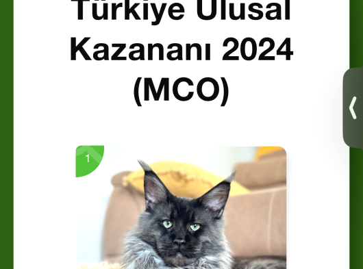 Türkiyenın Tek Tescıllı En Buyuk Kan Hattı görsel