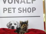 Morki̇e Yavrularimiz Vonalpet Güvencesi̇yle