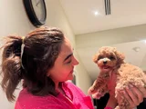 Xxsmal Micro Poodle Bebekler