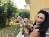 Poddle yavrularım sağlık ve ırk garantilidi