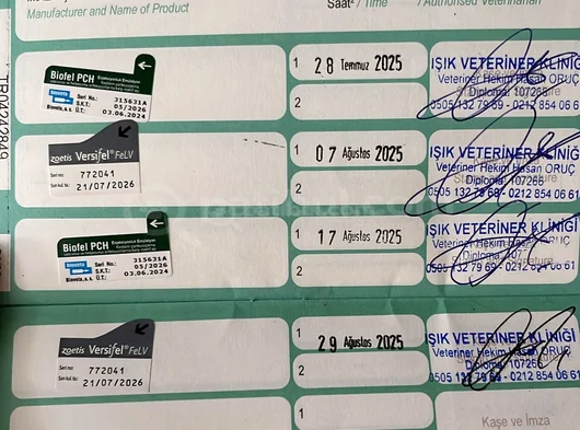 Minik Yavruya Yuva Arıyoruz görsel