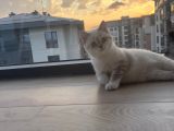 Minik Kızıma Ömürlük Yuva