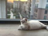 Minik Kızıma Ömürlük Yuva