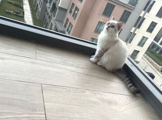 Minik Kızıma Ömürlük Yuva