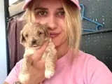 Maltipoo Yavruları