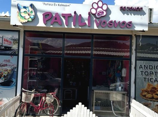 Maltipoo Tüy Dökmeyen Büyümeyen Bebekler görsel