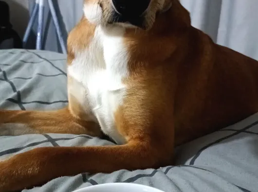 Mix görsel