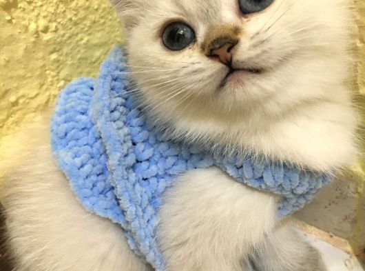 Marshmellow Bebekler görsel