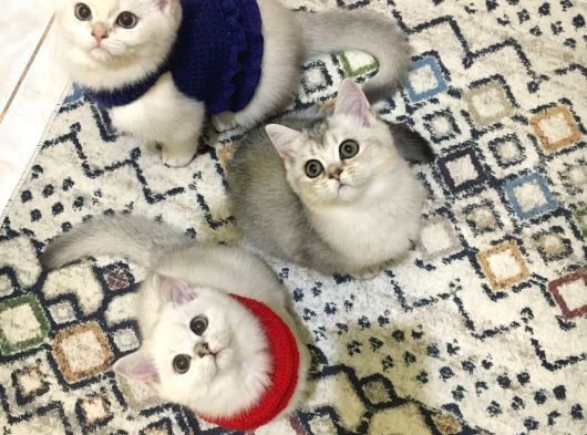 Bebeklik Sendromu Yaşamak Istemeyene