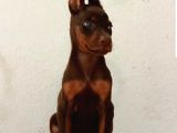 Doberman Yavrulari Mama Ve Malzeme Kampanya Li