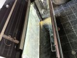 Kali̇teli̇ Malti̇po Yavrular