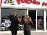 Tr Ni̇n En Güzel Toy Poodle Yavrulari Renk Renk Ankara