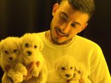 A Kalite Maltese Yavrular Teslime Hazır