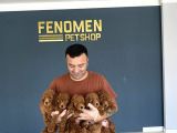 Renk Renk Orji̇nal Toy Poodle Yavrularimiz Güncel Ankara