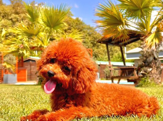 Eşsi̇z Bi̇r Deneyi̇m İçi̇n Bi̇zi̇ Aramadan Karar Vermeyn görsel