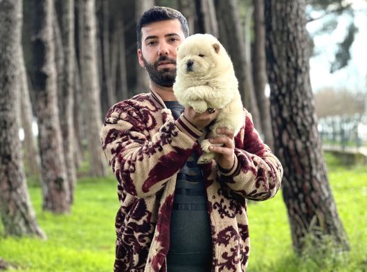 Chow chow Yavrularımız