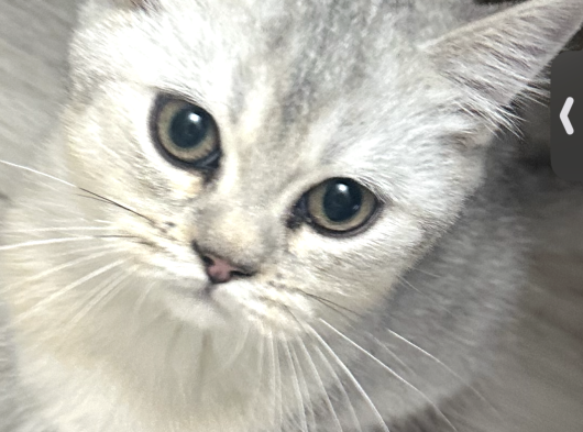 Oyuncu Oğlumuz görsel