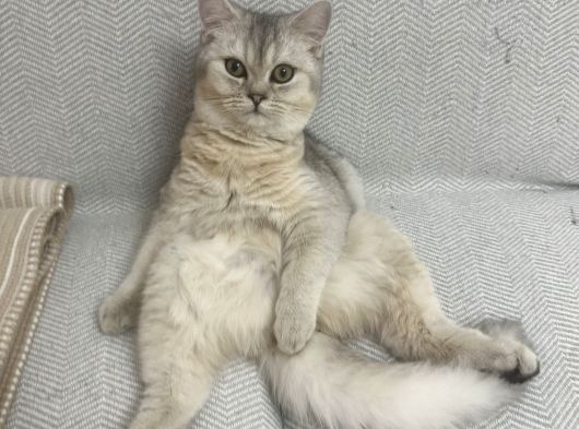 Oyuncu Oğlumuz