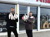 MORKİE YAVRULARIMIZ MAĞAZAMIZDA CANLI GÖRÜN ANKARA