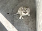 Minik Kızıma Ömürlük Yuva