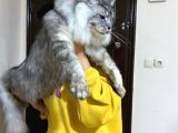 Türkiyenın En Saglam Referanslı Kan Hattı
