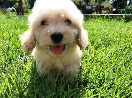 Eşsi̇z Bi̇r Deneyi̇m İçi̇n Ruhsatli̇ Çi̇fli̇ği̇mi̇ze Bekleri̇z