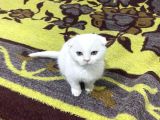 Yeni̇ Yilina Yeni̇ Ai̇leri̇nle Gi̇rmeye Hazir Bekli̇yorlar