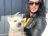 Husky Yavrularım Sağlık Ve Irk Garantili